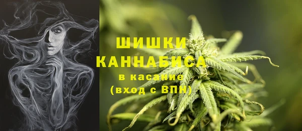 стаф Балахна
