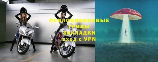 стаф Балахна