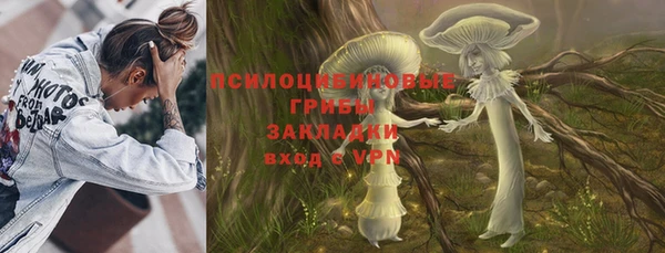 стаф Балахна