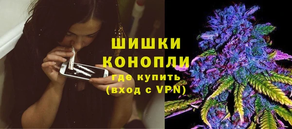 стаф Балахна